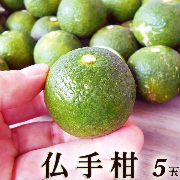 仏手柑 ぶしゅかん 5玉 高知産 土佐の酢みかん ご家庭用 香酸柑橘 餅柚