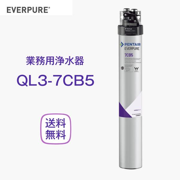 エバーピュア QL3-7CB5 浄水器 業務用 フィルターヘッド付 : 厨房