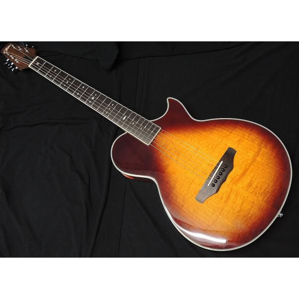 ARIA（アリア） ARIA APE-100 TS 薄胴 エレアコ サイドサウンドホール