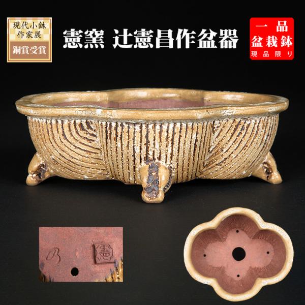 盆栽鉢 「憲窯白釉木瓜式鉢」 植木鉢 辻憲昌 ケンヨウ 色鉢 陶器