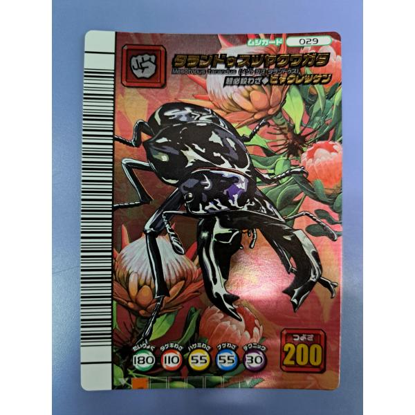 タランドゥスツヤクワガタ 5周年コレクションカード第1弾 029