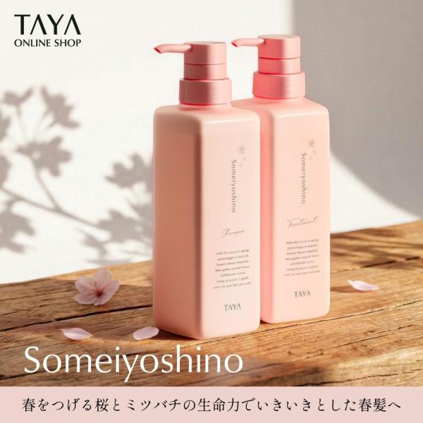 TAYA そめいよしの シャンプー トリートメント セット 各400ml 春 限定