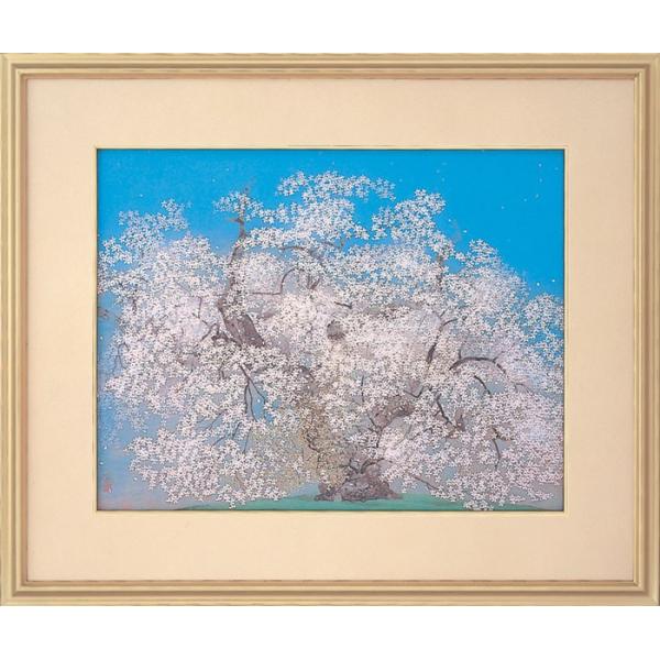 美品 掛け軸 中島千波筆「臥龍桜」名画 解説付 縁起物 日本画 中島千波
