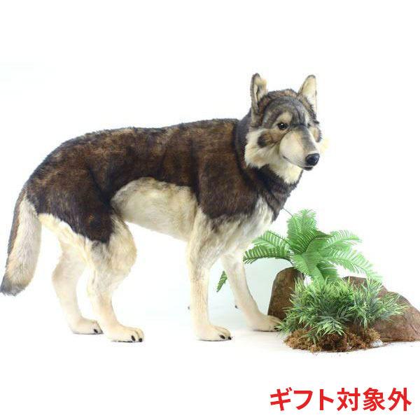 HANSA BH5496 シンリンオオカミ おおかみ 狼 ぬいぐるみ リアル : Dear