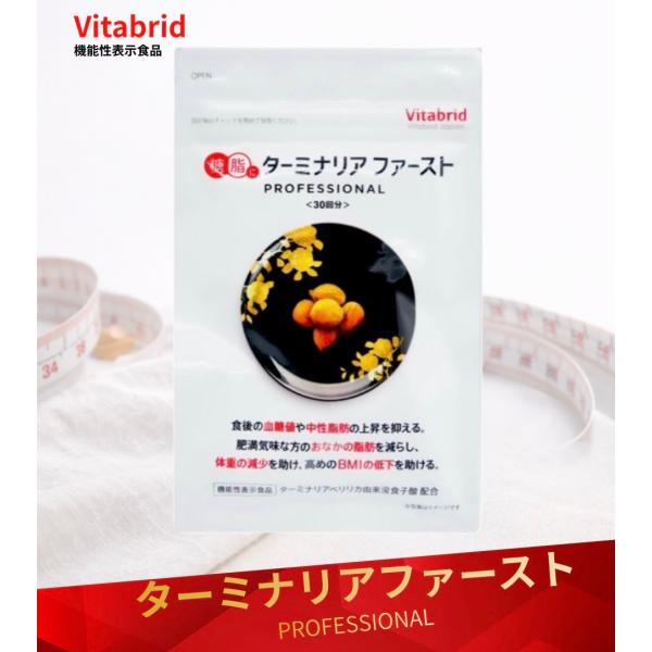 Vitabrid ターミナリアファースト プロフェッショナル 90日分 360粒
