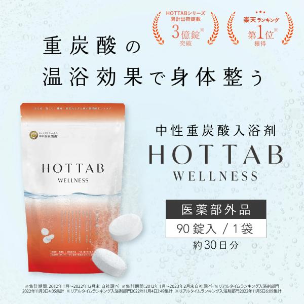 HOT TAB（ホットタブ） 入浴剤 ウェルネス 90錠 医薬部外品 重炭酸入浴