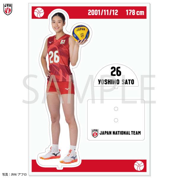 アクリルスタンドプレート 2025バレーボール女子日本代表 〈佐藤淑乃