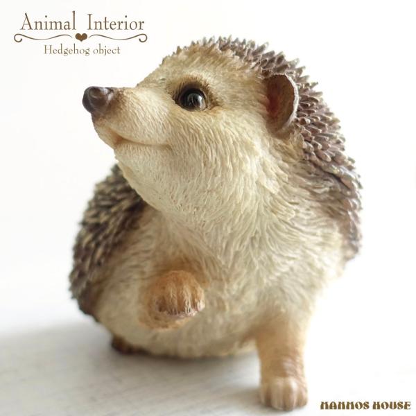 manmos-house_sts-hedgehog-14170