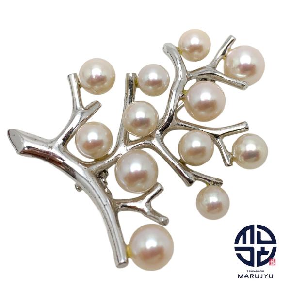 MIKIMOTO ミキモト SILVER シルバー Kofuku no ki 幸福の木 アコヤ