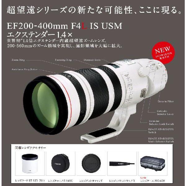 Canon EF200-400mm F4L IS USM エクステンダー 1.4× (RF,RU) [1.4倍