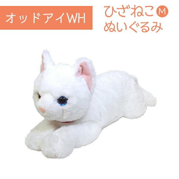 ひざねこ M オッドアイ WH ぬいぐるみ ペット用品 猫用品 オーナー