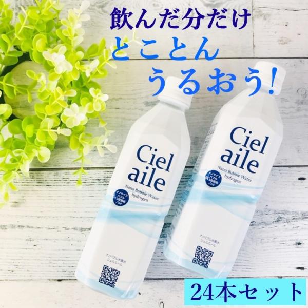 水 水素水 500ml 24本入 ナノバブル 国内 ミネラルウォーター シェル