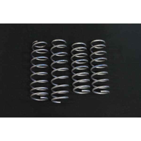 ジムニー タニグチ SOLVE ACE Ride20コイルスプリング JB64・JB74用