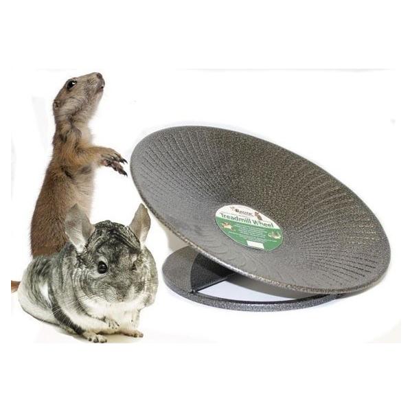 トレッドミルホイール大（約35cm）』 : SBSコーポレーション - 通販