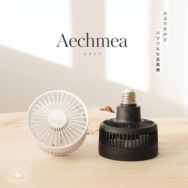 エクメア【小型送風機】AECHMEA BARREL プラント ファン ホワイト