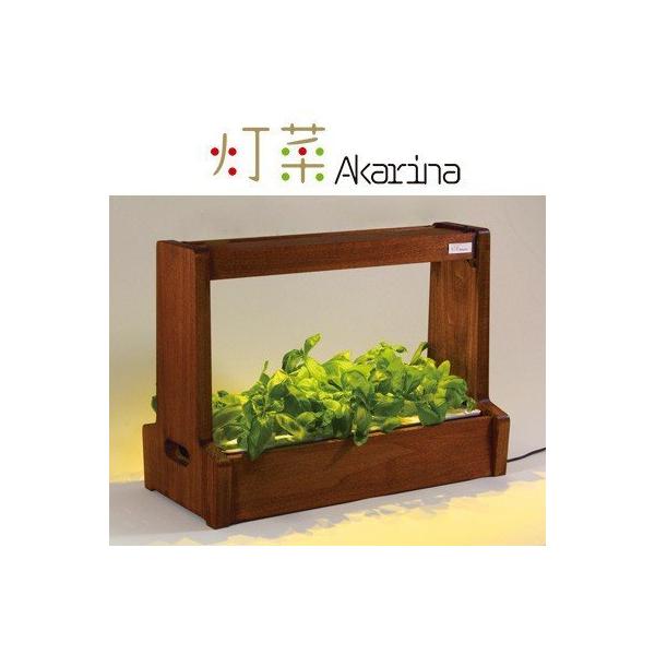 LED水耕栽培 植物育成器 灯菜（アカリーナ） 野菜 ハーブ お花