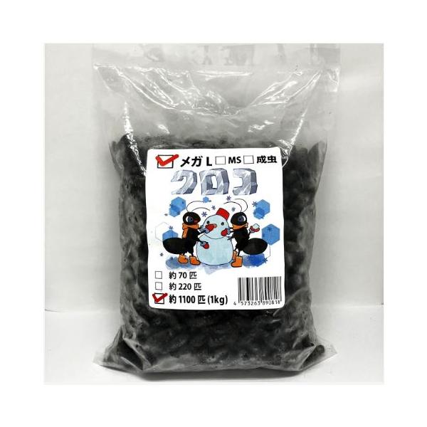 送料無料・邑楽ファーム】【クール便発送】冷凍クロコオロギ メガL