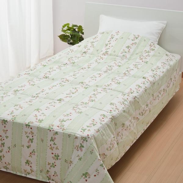 WEDGWOOD（ウェッジウッド） WEDGWOOD-ウェッジウッド- ワイルド