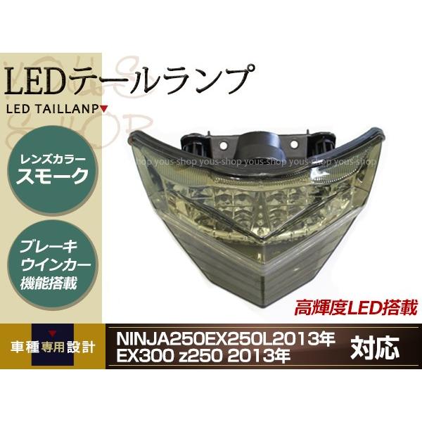 NINJA250 EX250L 2013年 EX300 スモークテール LEDテールランプ 高輝度