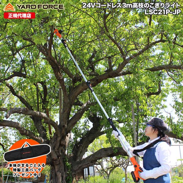 YARD FORCE（ヤードフォース） 高枝 電動のこぎり 充電式 軽量 3m