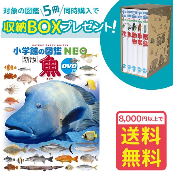 小学館の図鑑NEO［新版］魚 DVDつき（収納BOX付・送料無料・条件有