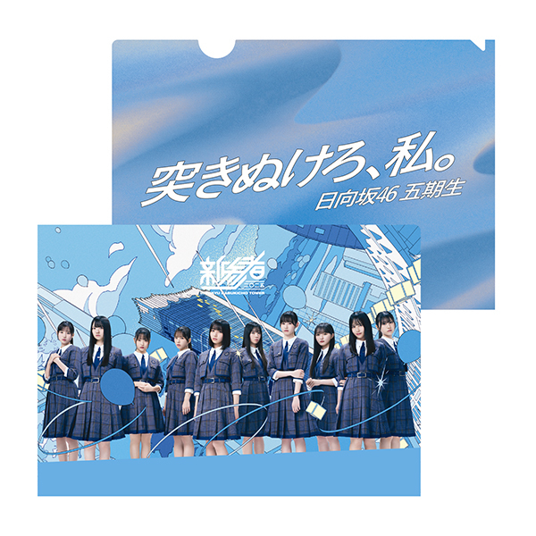 クリアファイル 日向坂46 | 新参者 二〇二五 オリジナルグッズストア
