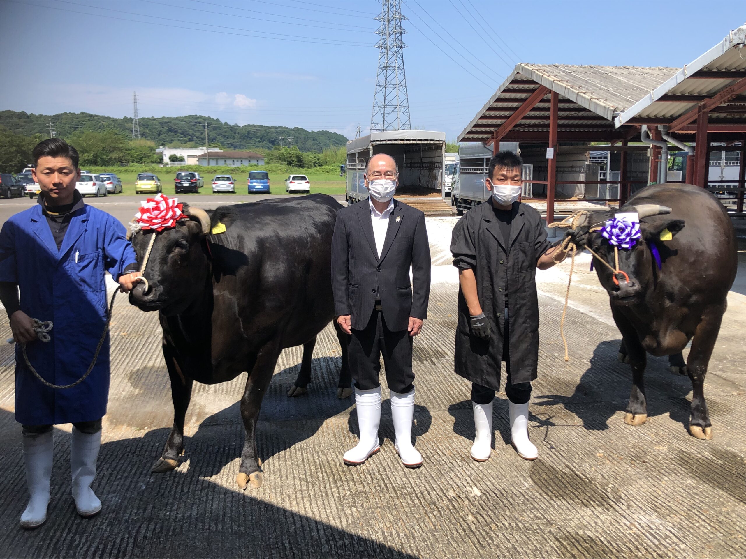 東美濃肉牛共進会 | JAひがしみの