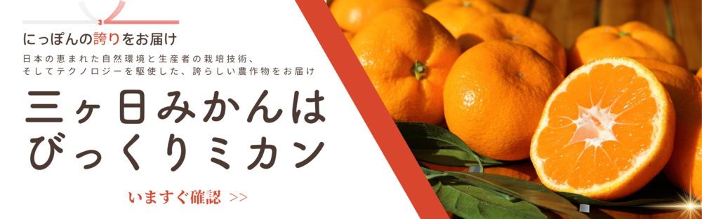 みかんページ みかん様 みかんページ みかん様 ミカン様 ミカン様 蜜柑