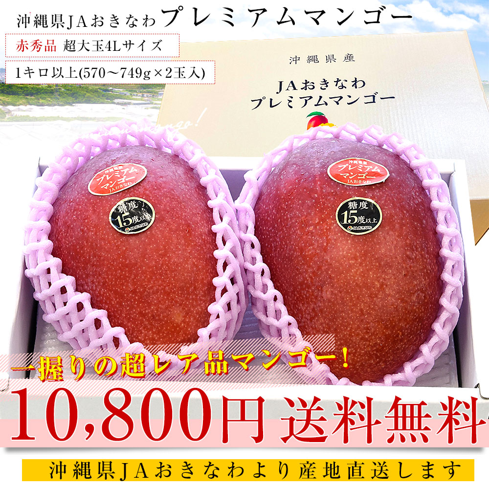 沖縄県より産地直送 JAおきなわ プレミアムマンゴー 赤秀品 超大玉4L