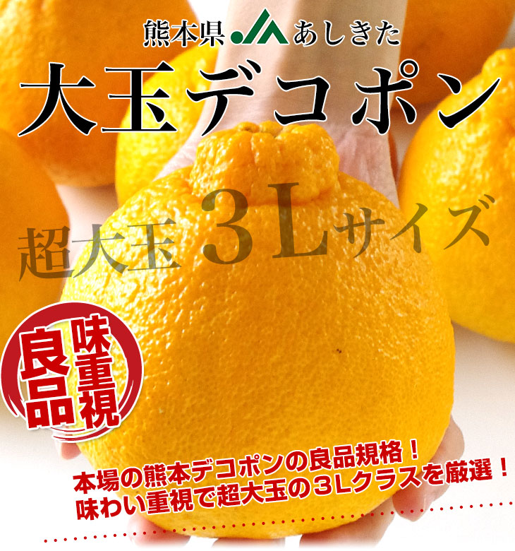 熊本県より産地直送 JAあしきた 大玉デコポン (良品) 3キロ (8玉から10