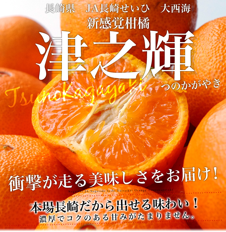 長崎県より産地直送 JA長崎せいひ 津之輝(つのかがやき) 3LからLサイズ