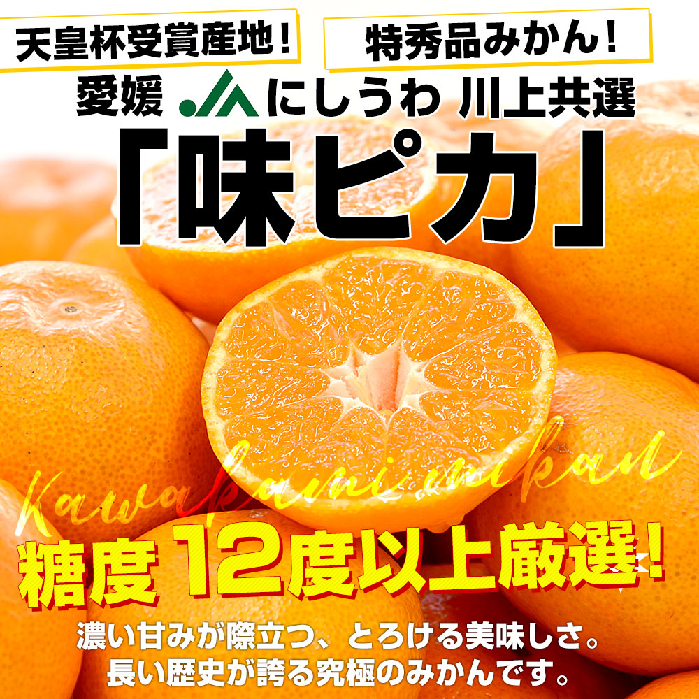 お歳暮 ギフト】愛媛県 JAにしうわ 川上共選 最高等級みかん「味ピカ