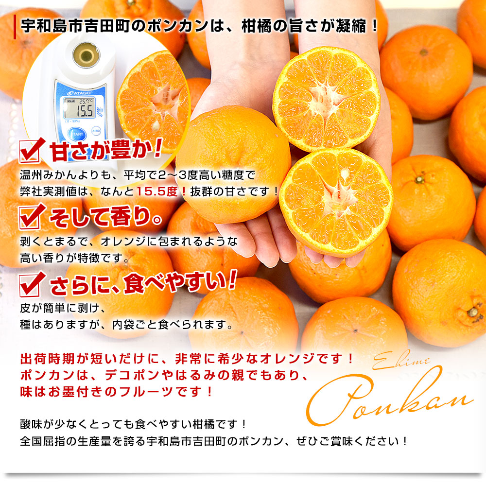 愛媛県 宇和島市吉田町 訳ありポンカン 3Lから2Lサイズ 約10キロ (40玉