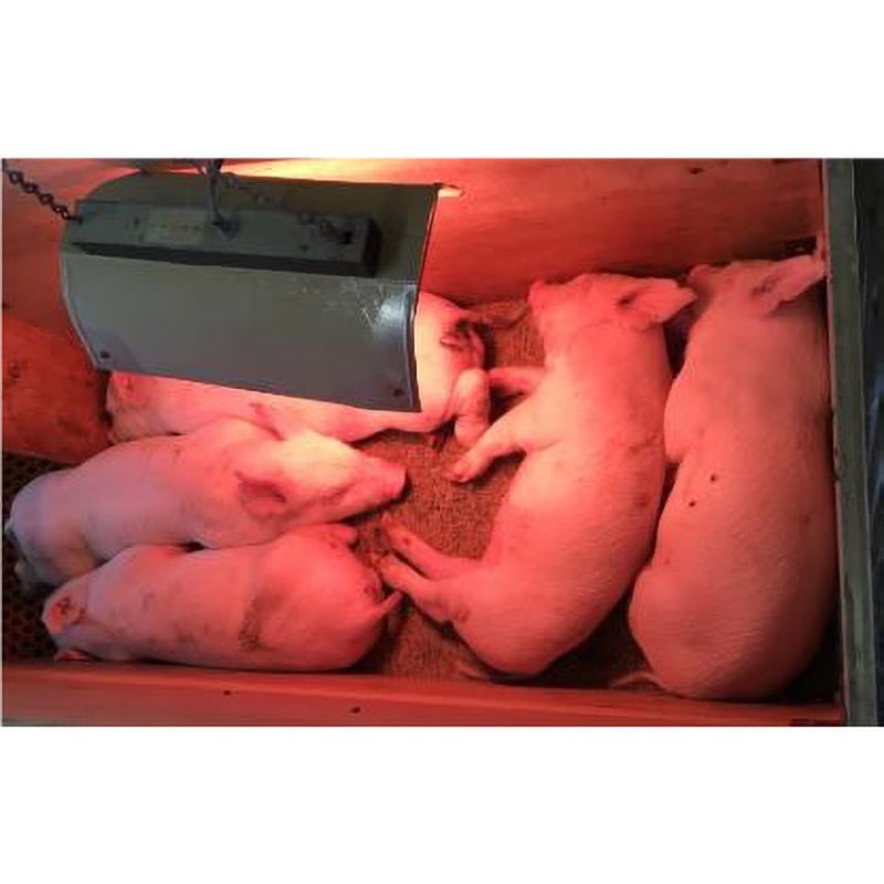 NH-RH22E 畜産用コルツヒーター 藤原製作所 1個 NH-RH22E - 【通販