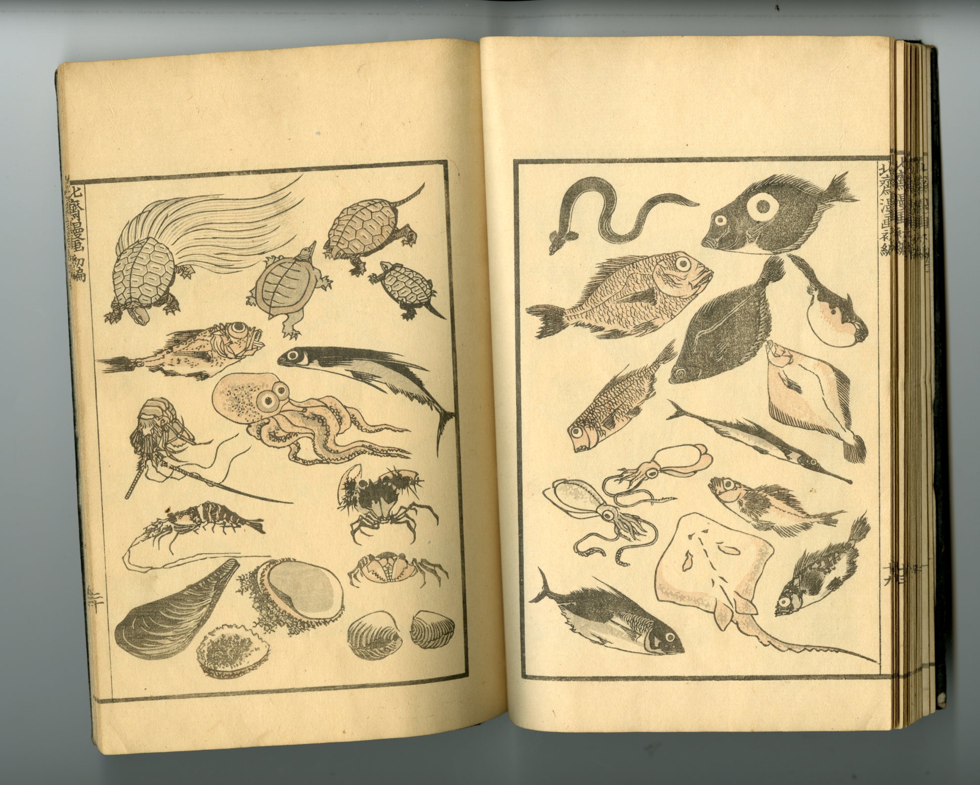 北斎漫画一覧－銀座 秋華洞