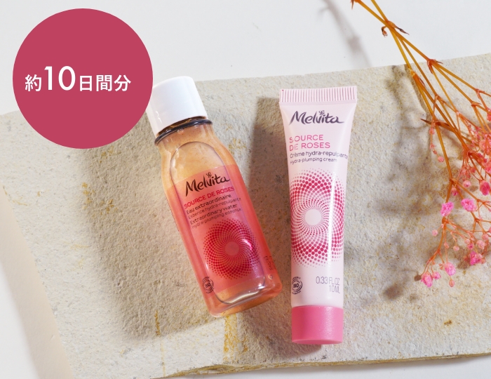 ソルスデローズ