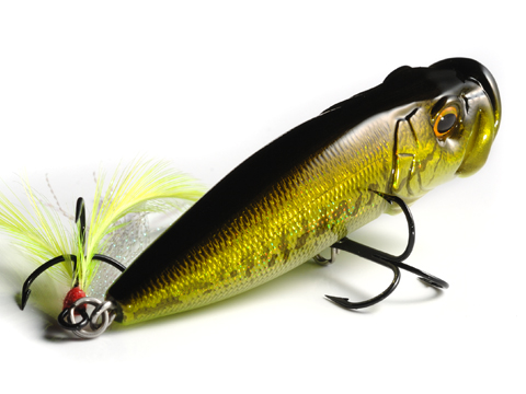 POP X | History of Megabass | Megabass - メガバス オンラインショップ