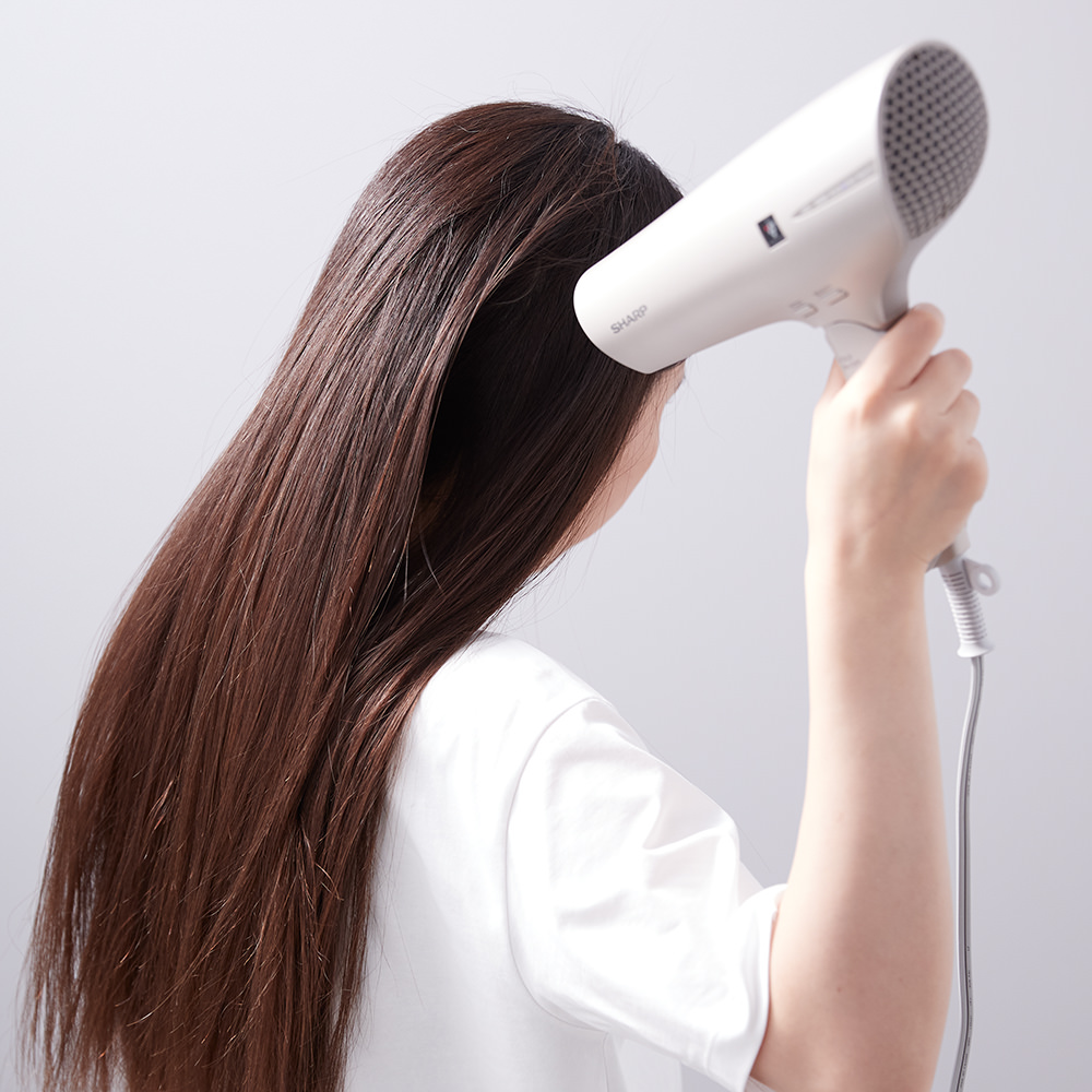 IB-P602 | 美容家電:シャープ