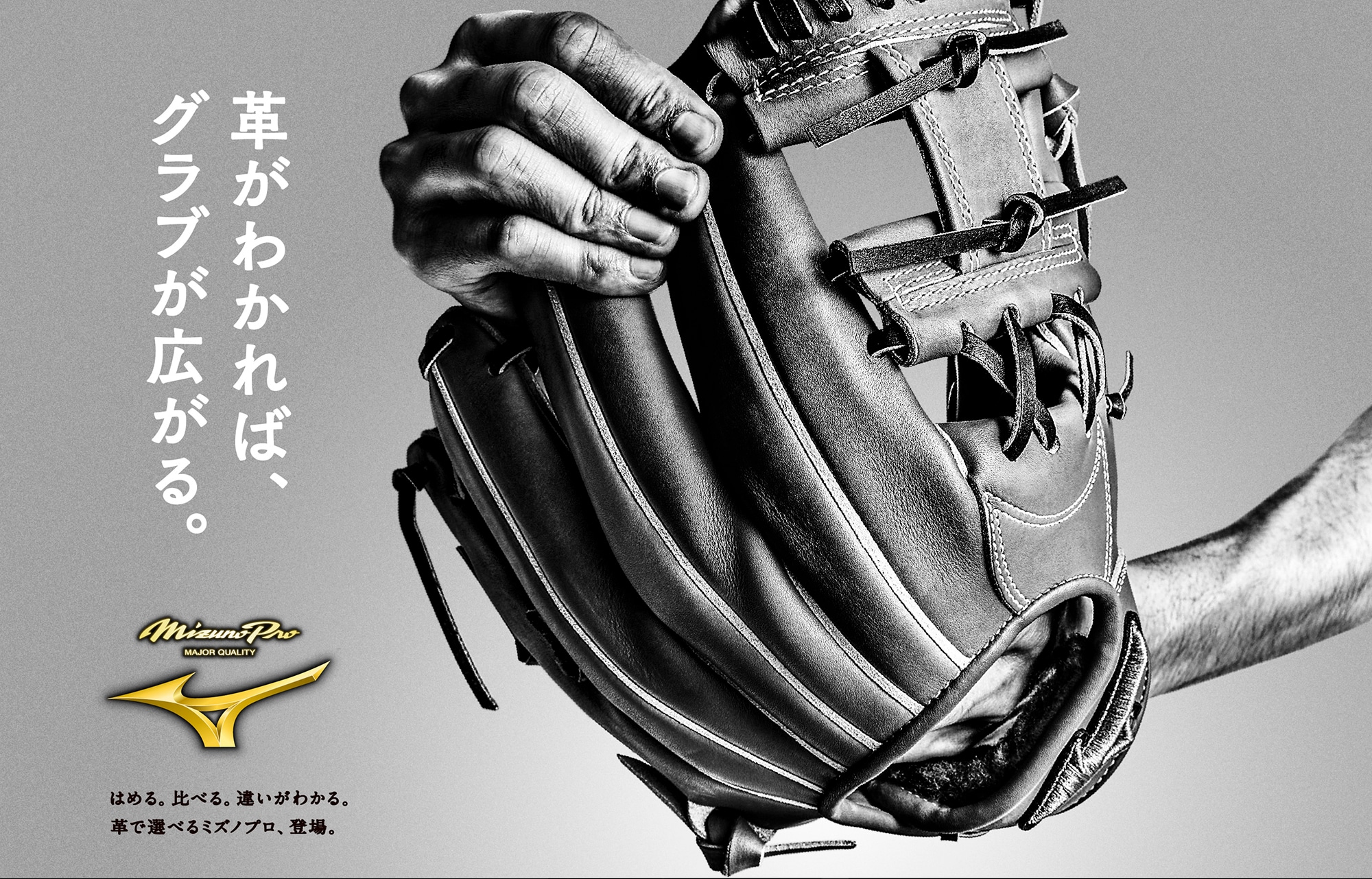 ミズノプロ限定皮革シリーズ - 革がわかれば、グラブが広がる。｜野球