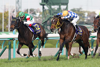 JRAホームページ｜データファイル｜競走成績データ