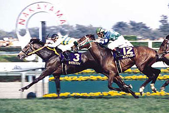 JRAホームページ｜データファイル｜競走成績データ