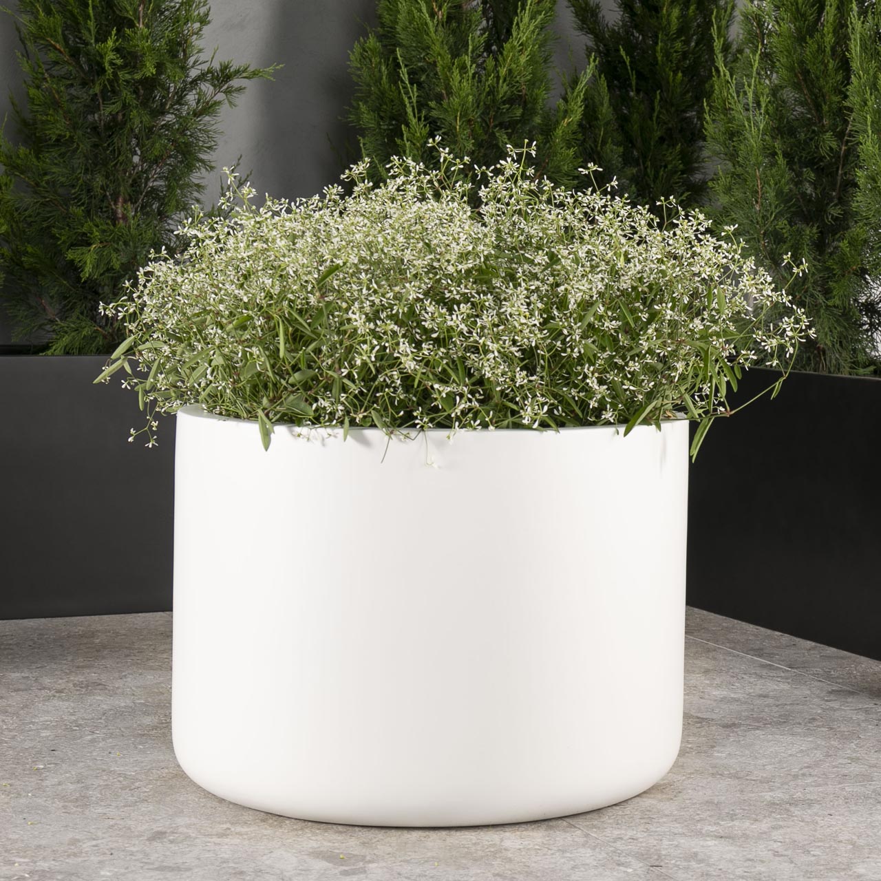 Brighton Low Cylinder | Just Add Plants