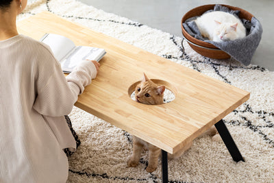 スペイン製 テーブル チェア セット タイル 猫 ガーデン テーブル