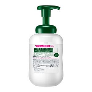 ビオレone泡で出る化粧水 コンフォートサボンの香り 本体 | 花王