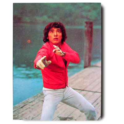 参考価格】カルビー 仮面ライダー V3カード 大当りカード No.164