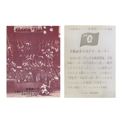 参考価格】カルビー プロ野球カード ホームランカード 1973年 堀内恒夫