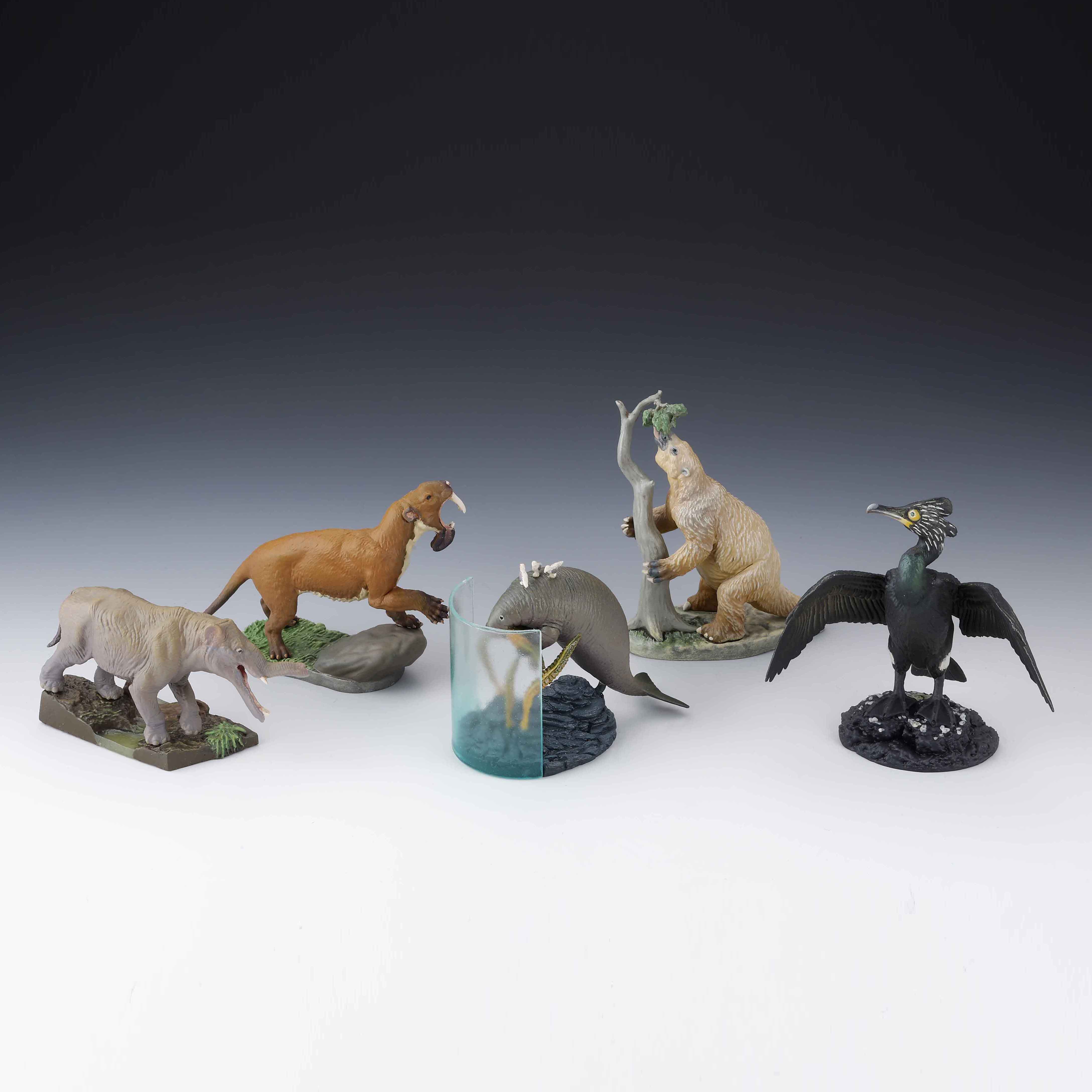 動物立体図鑑 | フィギュアの造形企画製作、販売を行う株式会社海洋堂