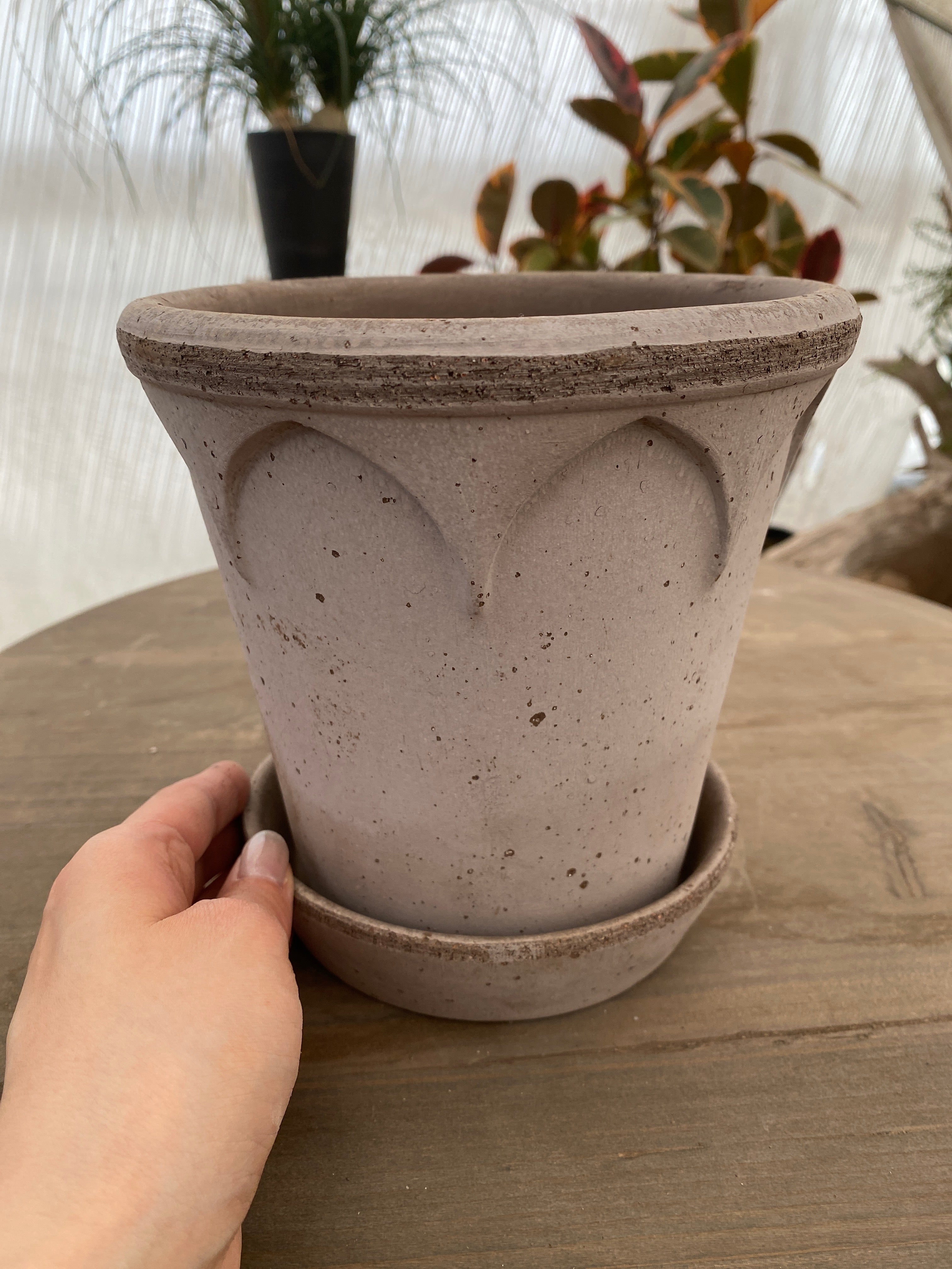 商品 – 植物家族