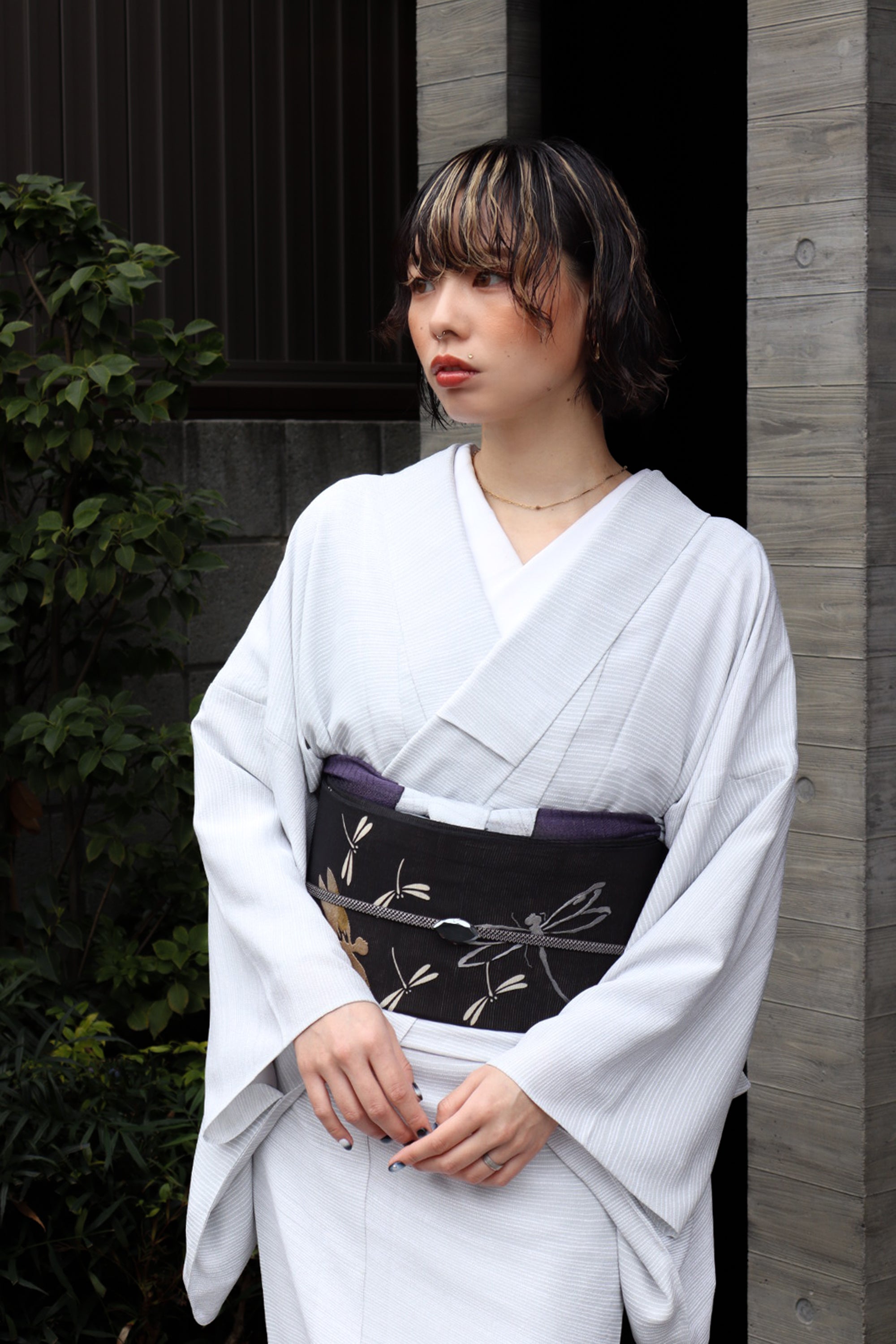 蜻蛉 絽（Wing）：アンティーク｜名古屋帯