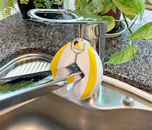 テラファイト卑弥呼 ゴールド | カラケア